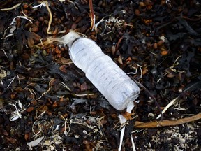A single-use plastic water bottle sits amongst a pile of seaweed on the shore of Frobisher Bay in Iqaluit on Friday, Aug. 2, 2019.