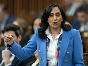 Treasury Board president Anita Anand rises during Question Period, in Ottawa, Monday, April 15, 2024.