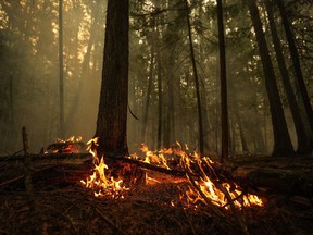 A hot spot from the Lower East Adams Lake wildfire burns in Scotch Creek, B.C., on Sunday, Aug. 20, 2023.