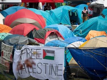 Tents are visible behind a fence with banners including "Free Palestine'