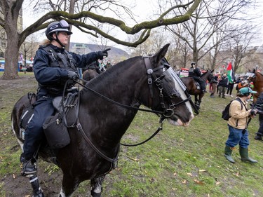 A police officer on horseback points at something while they stand on a grassy area