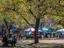 A budding tree is seen it the foreground, while the pro-Palestinian encampment is seen in the background on a beautiful sunny day at McGill University.