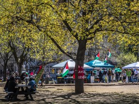 A budding tree is seen it the foreground, while the pro-Palestinian encampment is seen in the background on a beautiful sunny day at McGill University.