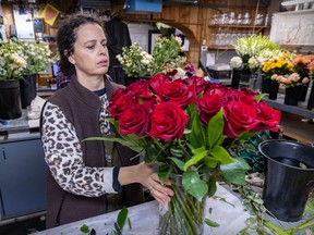 A woman places a vase of roses on a counter.