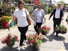 Three people walk in a market carrying hanging baskets of flowers.