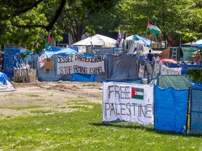 A sign reading Free Palestine is attached to a fence enclosing an encampment on a field