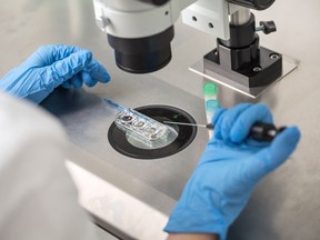 A technician does a control check of the in vitro fertilization process.