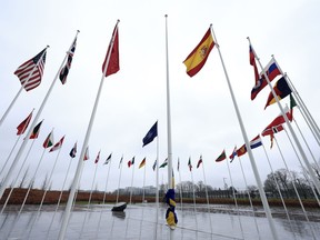 The Swedish flag is tied to a flagpole and surrounded by the flags of other NATO nations, as protocol prepare for a flag raising ceremony to mark the accession of Sweden at NATO headquarters in Brussels, Monday, March 11, 2024.