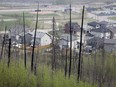 Burned trees from the 2016 wildfire stand sentinel over a neighbourhood in Fort McMurray, Alta., on Wednesday, May 15, 2024.