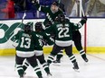 Several hockey players in green celebrate.