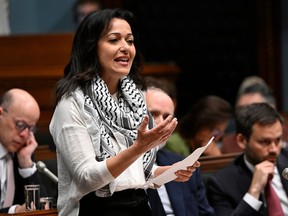 Ruba Ghazal, wearing a black and white checkered scarf around her neck, gestures while standing in the legislature.