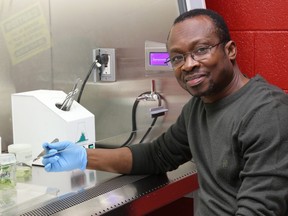 Bourlaye Fofana, a research scientist at AAFC, is shown in an undated handout photo.