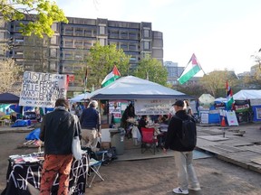People mingle at pro-Palestinian encampment at McGill University