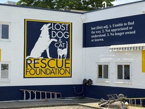 The Lost Dog and Cat Rescue Foundation signage is displayed on its building in Falls Church, Va.