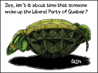 Cartoon of a turtle stuck on its back with the caption "Say, isn't it about time that someone woke up the Liberal Party of Quebec?"