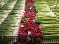 Closeup of green onions, radishes and celery at a grocery store.