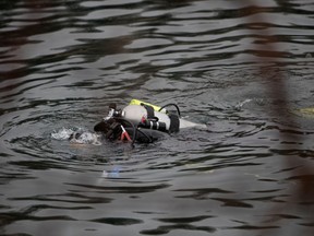 The top of an air tank is seen as a diver comes above the water