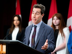 Liberal MP Anthony Housefather speaks at a podium with Canadian flags in the background.
