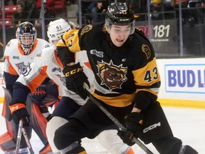 Stu Cowan: Canadiens think prospect Florian Xhekaj could be special Stu Cowan: Canadiens think prospect Florian Xhekaj could be special