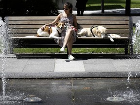 A woman sitting on a bench with two yellow labs.