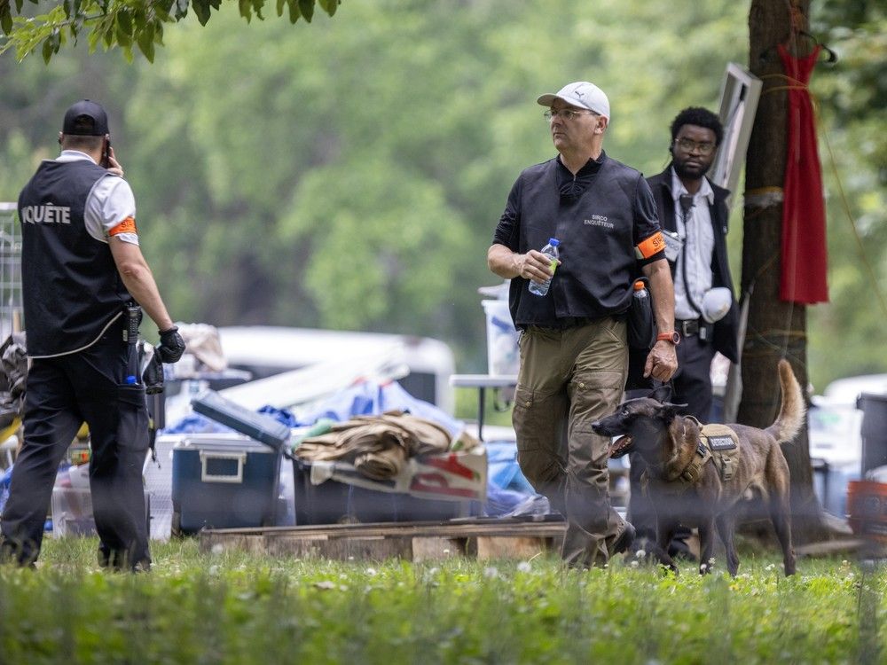 Three security workers and a working dog near an encampment.