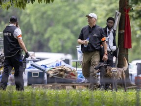 Three security workers and a working dog near an encampment.