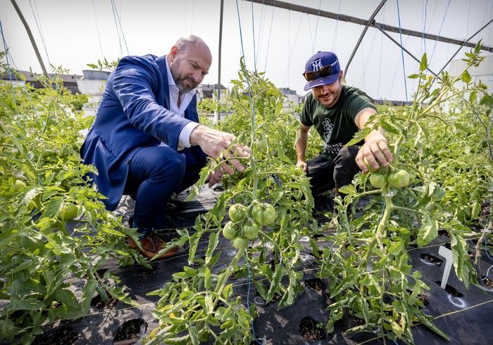 Photos: Supermarket rooftop garden in St-Laurent | Montreal Gazette