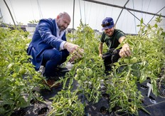 Two men inspect plants in a rooftop garden.
