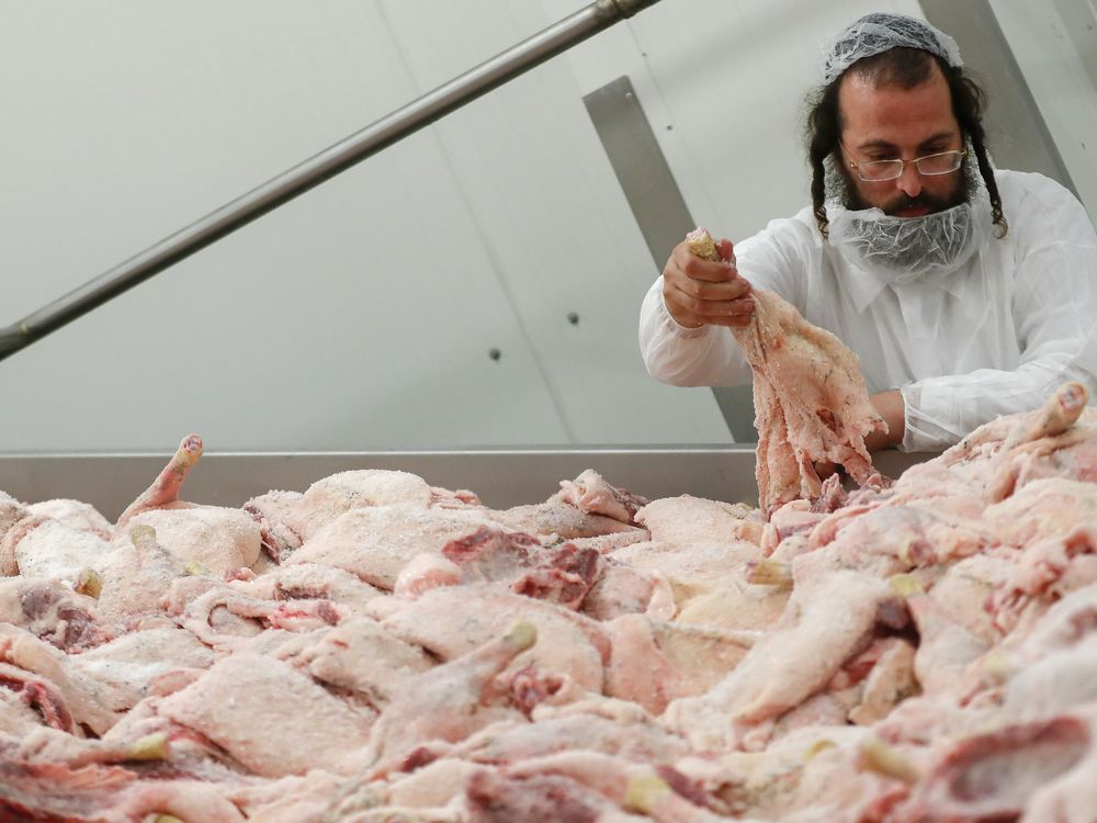 An Orthodox rabbi checks the quality of poultry meat in a kosher slaughterhouse in Csengele, Hungary on Jan. 15, 2021.
