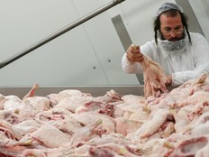 An Orthodox rabbi checks the quality of poultry meat in a kosher slaughterhouse in Csengele, Hungary on Jan. 15, 2021.