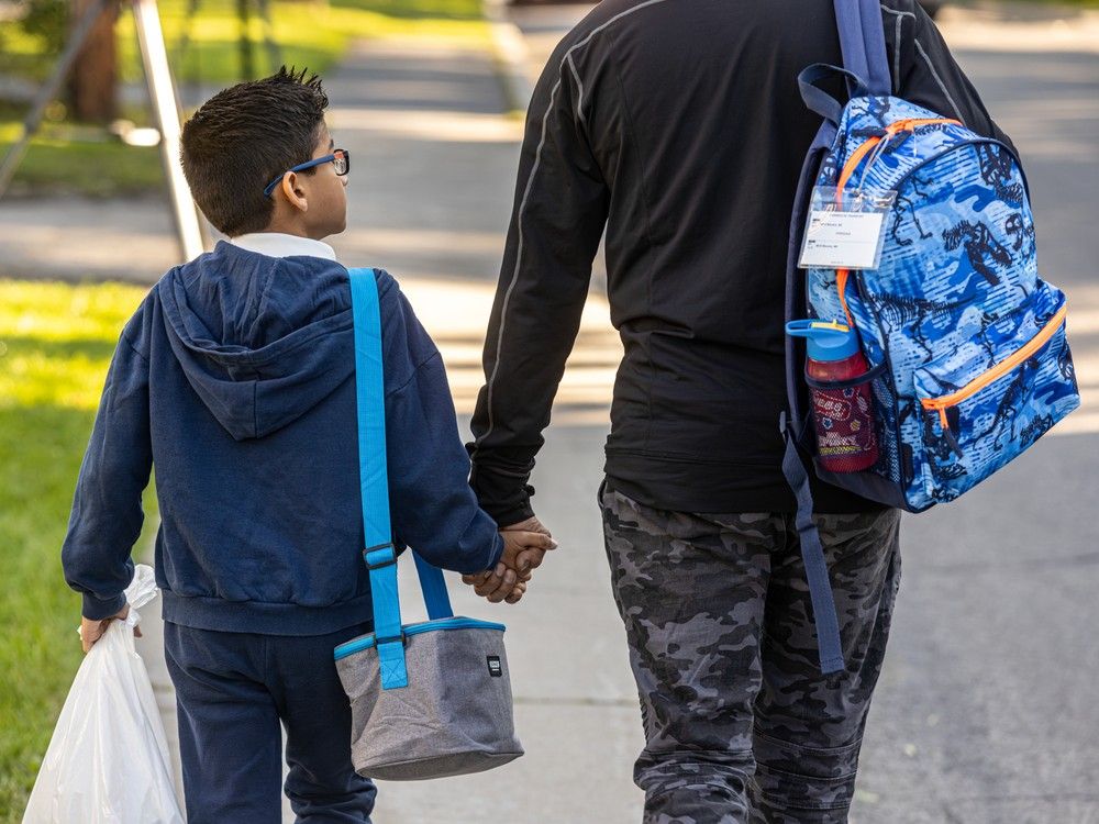 a child and father walk hand in hand on a sidewalk. they are seen from behind.
