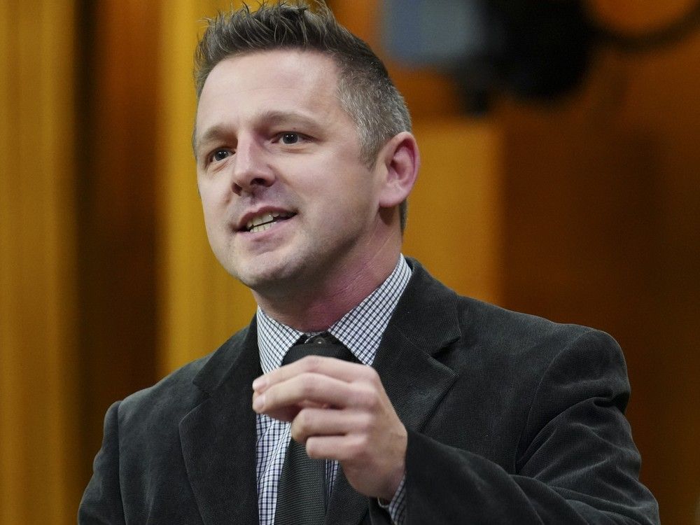 Liberal MP who used inappropriate language replaced on committee ...