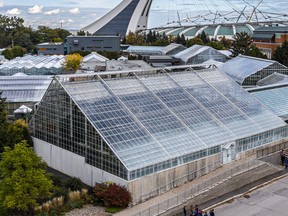 Glass-topped greenhouses as seen from above