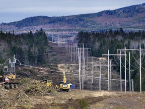 Heavy equipment works in a clear-cut path in forest