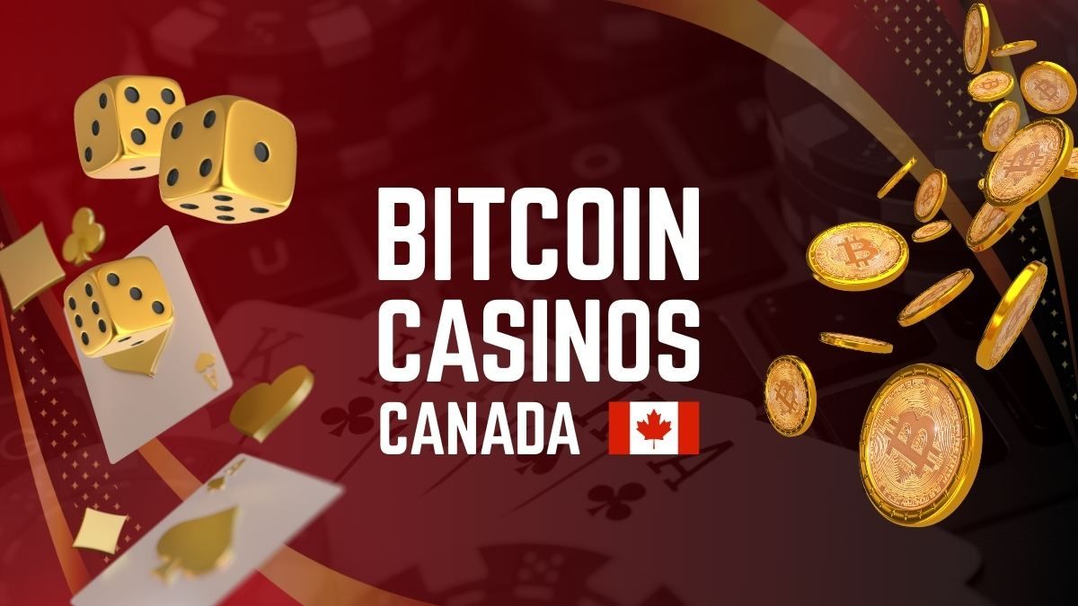 Canadian bitcoin casino (95) 사진