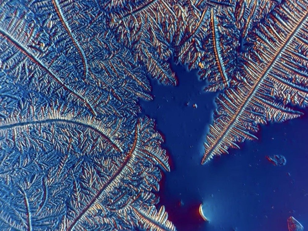  a screenshot from chloé savard’s microscopic video of her tears drying. photo by chloé savard