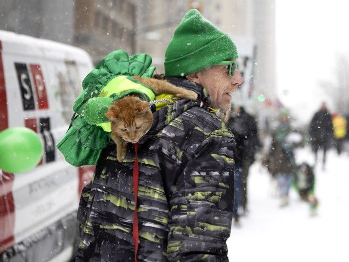 A member of the SPCA team brings a friend along for the St. Patrick’s Parade in Montreal on Sunday, March 22, 2026. A member of the SPCA team brings a friend along for the St. Patrick’s Parade in Montreal on Sunday, March 22, 2026.