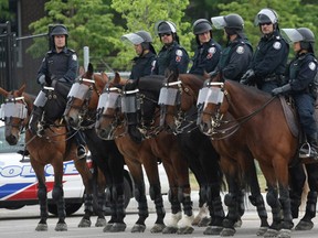 Toronto's new Tactical Tourist Assistance Task Force is ready to swiftly and ruthlessly help any sightseer find their final destination, by any means necessary.