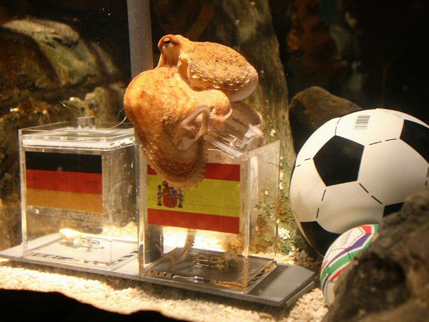 What is an Octopus in Football?