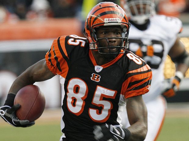 Which NFL diva receiver would you pick: Terrell Owens or Chad Ochocinco? 