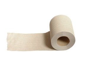 Prison inmates in Iowa could soon be making their own toilet paper if a money-saving plan is approved by the state government.