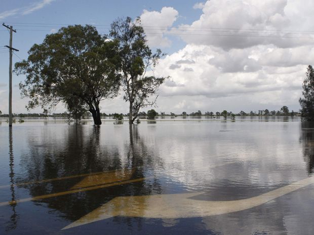 Apocalyptic spider webs carpet Australia after floods