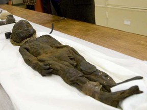 The tale of the chubby mummy (creepy!) and other artifactual facts are part of the new series Museum Secrets.