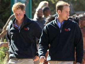 Prince Harry and Prince William (R)