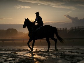 Molly Riley/REUTERS