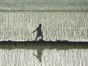 REUTERS/Ajay Verma