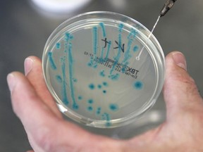 Petri Dish