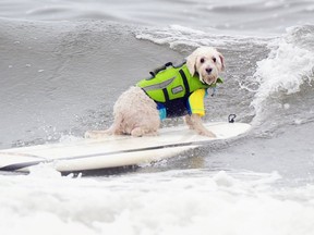 ROBYN BECK/AFP/Getty Images