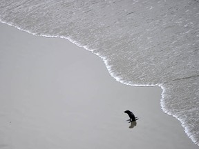 CHRISTOPHE SIMON/AFP/Getty Images