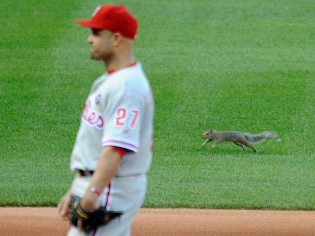 Remember that time Randy Johnson's fastball killed a dove during a